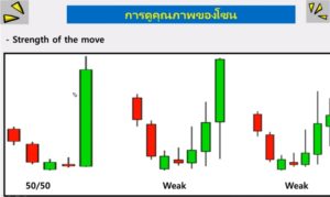 อธ บาย กราฟ forex